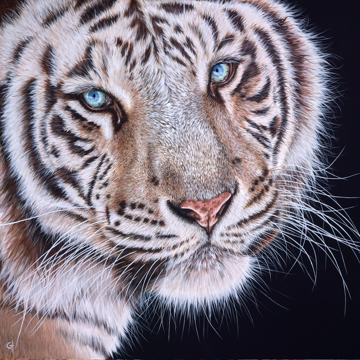 Gina Hawkshaw image